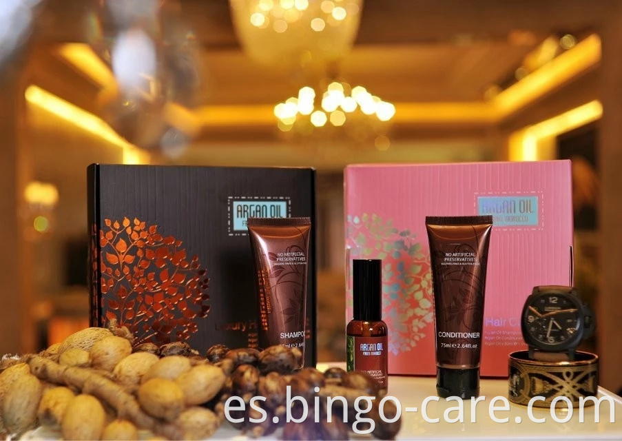 Profesional de lujo natural aceite de argán crema para el cabello champú acondicionador regalo conjunto de productos para el cuidado del cabello